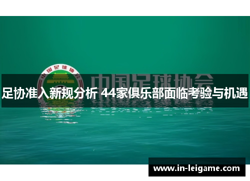 足协准入新规分析 44家俱乐部面临考验与机遇